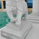 张掖 白麻花岗岩动物异形石雕-大象