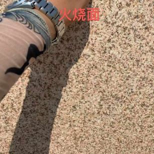 张掖黄金麻火烧面